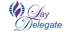 mcc-lay-delegates